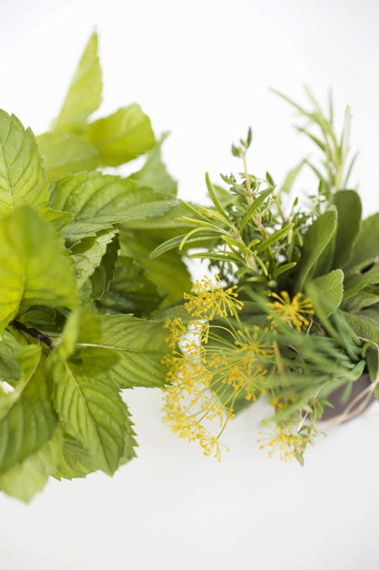 无人,竖图,俯视,室内,特写,白天,白色背景,桌面,桌子,叶子,阴影,朦胧,模糊,反射,木制,影子,调味,香料,佐料,薄荷,绿叶,银丹草,木制品,嫩叶,摄影,影棚,配料,莳萝,作料,洋茴香,土茴香,斑叶凤梨薄荷,夜息香,叶,叶片,彩图,高角度拍摄,影棚拍摄,拍摄