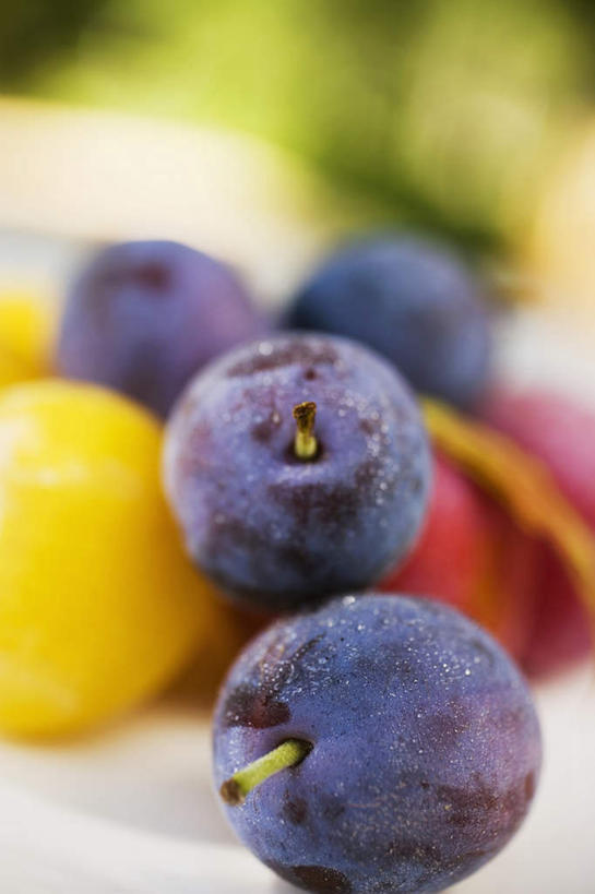 无人,竖图,俯视,室外,特写,白天,桌面,桌子,李子,水果,一堆,许多,阴影,堆叠,堆积,朦胧,模糊,新鲜,光线,木制,影子,生食,食品,果实,食物,黄色,红色,蓝色,阳光,木制品,有机食品,绿色食品,堆,红李,鸡血李,杏李,彩图,高角度拍摄