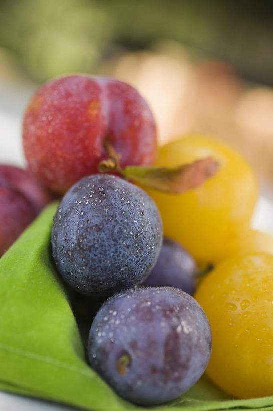 无人,竖图,俯视,室外,特写,白天,桌面,桌子,李子,水果,一堆,许多,阴影,堆叠,堆积,朦胧,模糊,新鲜,光线,木制,影子,生食,食品,果实,食物,黄色,红色,蓝色,阳光,木制品,有机食品,绿色食品,堆,红李,鸡血李,杏李,彩图,高角度拍摄