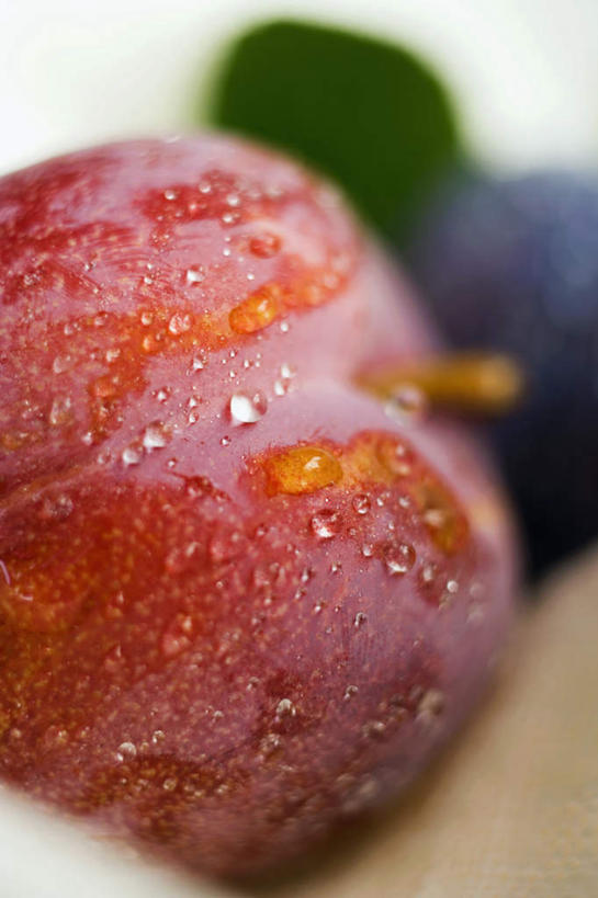 无人,竖图,俯视,室内,特写,白天,白色背景,水,桌面,桌子,李子,水果,叶子,阴影,朦胧,模糊,新鲜,反射,木制,液体,影子,水滴,生食,食品,果实,绿叶,食物,两个,红色,蓝色,木制品,嫩叶,摄影,有机食品,绿色食品,影棚,红李,鸡血李,杏李,叶,叶片,彩图,高角度拍摄,影棚拍摄,拍摄