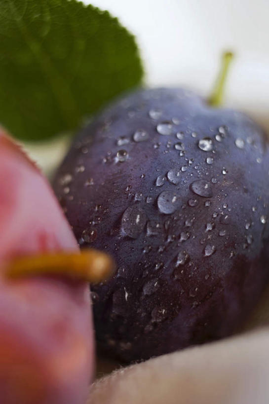 无人,竖图,俯视,室内,特写,白天,白色背景,水,桌面,桌子,李子,水果,叶子,阴影,朦胧,模糊,新鲜,反射,木制,液体,影子,水滴,生食,食品,果实,绿叶,食物,两个,红色,蓝色,木制品,嫩叶,摄影,有机食品,绿色食品,影棚,红李,鸡血李,杏李,叶,叶片,彩图,高角度拍摄,影棚拍摄,拍摄