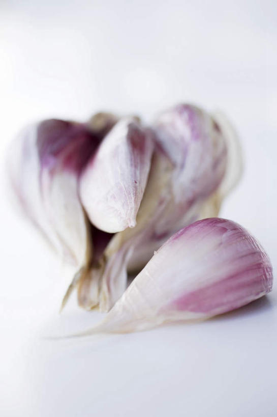 无人,竖图,俯视,室内,特写,白天,白色背景,餐桌,桌子,蔬菜,蒜,阴影,朦胧,模糊,新鲜,反射,影子,调味,香料,佐料,食品,蒜头,食物,摄影,有机食品,绿色食品,影棚,餐台,配料,作料,胡蒜,大蒜,彩图,高角度拍摄,影棚拍摄,拍摄