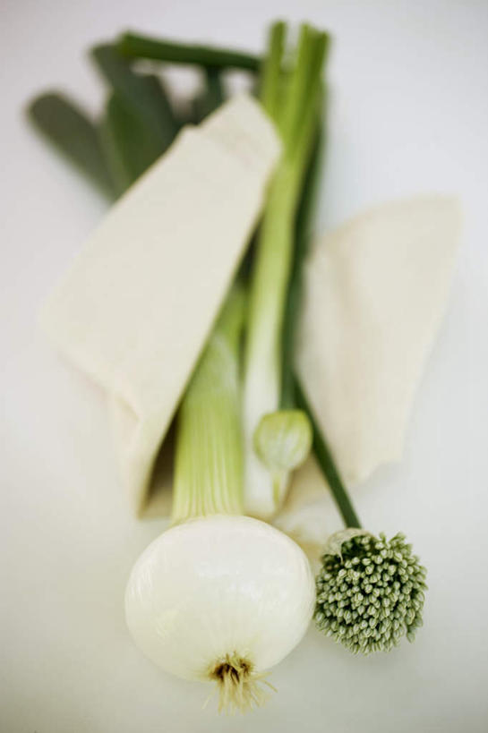 无人,竖图,俯视,室内,特写,白天,白色背景,植物,餐桌,桌子,蔬菜,洋葱,阴影,朦胧,模糊,新鲜,反射,影子,葱,调味,香料,佐料,食品,草药,药草,中药,食物,绿色,自然,摄影,有机食品,绿色食品,影棚,生长,成长,餐台,细香葱,香葱,配料,玉葱,药材,中草药,中药材,本草,作料,圆葱,洋葱头,球葱,葱头,彩图,高角度拍摄,影棚拍摄,拍摄