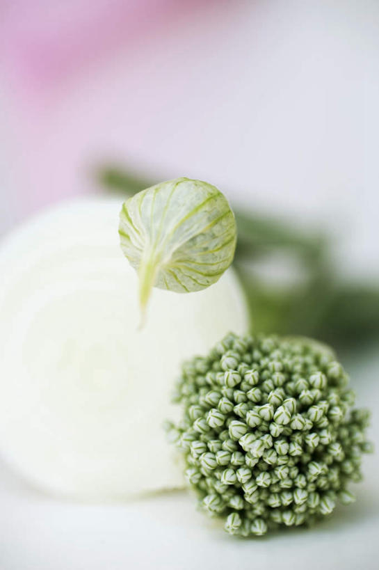 无人,竖图,俯视,室内,特写,白天,白色背景,植物,餐桌,桌子,蔬菜,洋葱,阴影,朦胧,模糊,新鲜,反射,影子,葱,调味,香料,佐料,食品,草药,药草,中药,食物,绿色,自然,摄影,有机食品,绿色食品,影棚,生长,成长,餐台,细香葱,香葱,配料,玉葱,药材,中草药,中药材,本草,作料,圆葱,洋葱头,球葱,葱头,彩图,高角度拍摄,影棚拍摄,拍摄