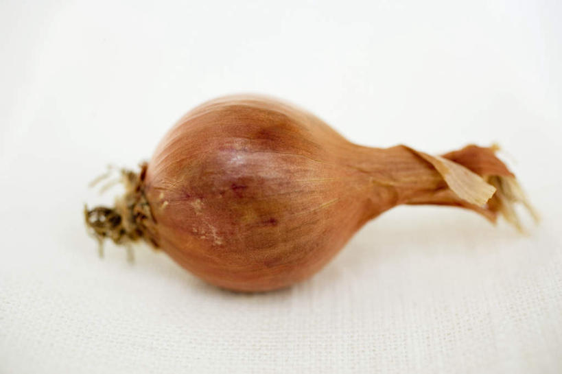 无人,横图,俯视,室内,特写,白天,白色背景,餐桌,桌子,蔬菜,洋葱,阴影,新鲜,反射,影子,调味,香料,佐料,食品,食物,一个,摄影,有机食品,绿色食品,影棚,单个,餐台,配料,玉葱,作料,圆葱,洋葱头,球葱,葱头,彩图,高角度拍摄,影棚拍摄,拍摄