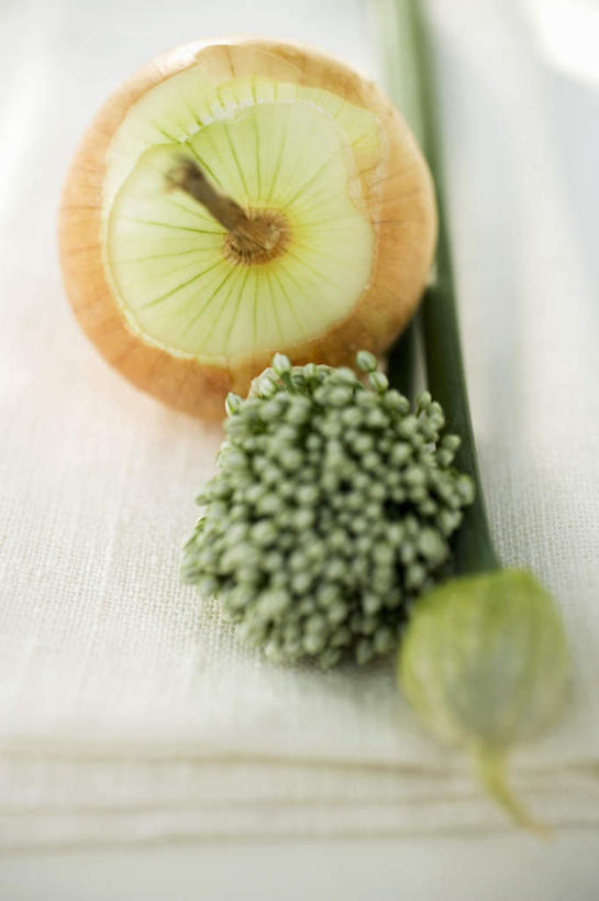 无人,竖图,俯视,室内,特写,白天,白色背景,植物,餐桌,桌子,蔬菜,洋葱,阴影,朦胧,模糊,新鲜,反射,布料,影子,葱,调味,香料,佐料,食品,草药,药草,布纹,中药,桌布,食物,两个,绿色,白色,自然,餐巾,台布,摄影,有机食品,绿色食品,影棚,生长,成长,餐台,细香葱,香葱,配料,玉葱,药材,中草药,中药材,本草,作料,圆葱,洋葱头,球葱,葱头,彩图,高角度拍摄,影棚拍摄,拍摄