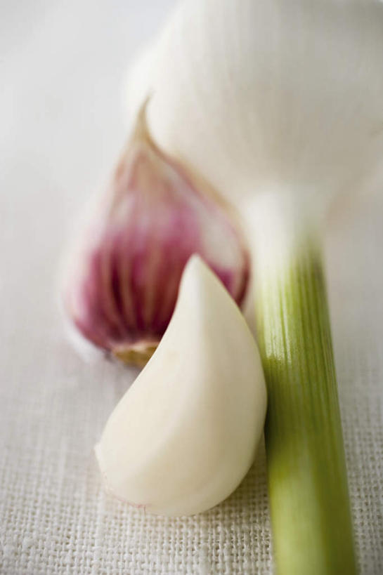 无人,竖图,俯视,室内,特写,白天,白色背景,餐桌,桌子,蔬菜,蒜,洋葱,阴影,朦胧,模糊,新鲜,反射,影子,调味,香料,佐料,食品,蒜头,食物,摄影,有机食品,绿色食品,影棚,餐台,配料,玉葱,作料,胡蒜,圆葱,洋葱头,球葱,大蒜,葱头,彩图,高角度拍摄,影棚拍摄,拍摄