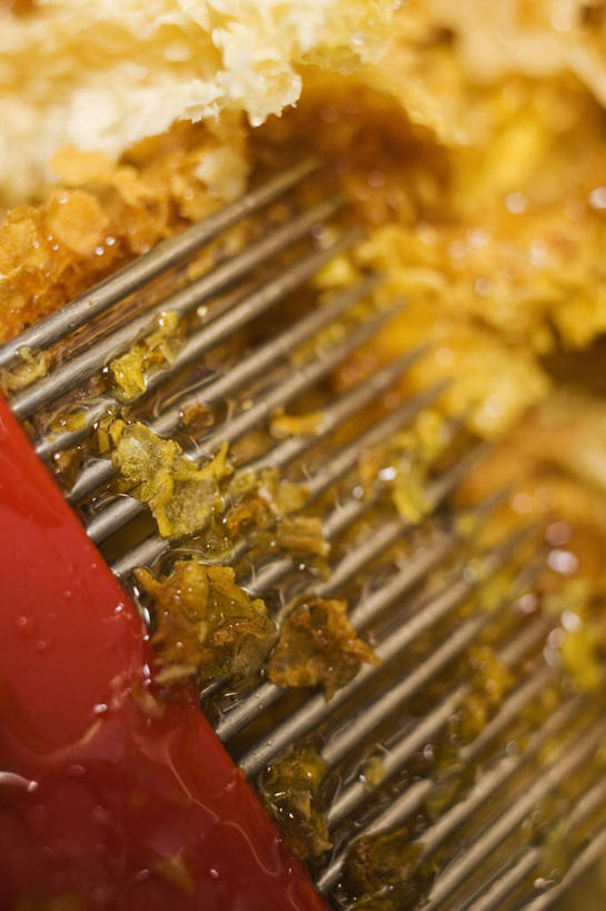 点心,蜂蜜,无人,竖图,俯视,室内,特写,白天,餐桌,桌子,金属制品,阴影,朦胧,模糊,反射,金属,影子,食品,甜点,甜品,食物,糕点,刷子,甜食,摄影,影棚,餐台,花蜜,止痛,解毒,冬酿,石蜜,彩图,高角度拍摄,影棚拍摄,拍摄