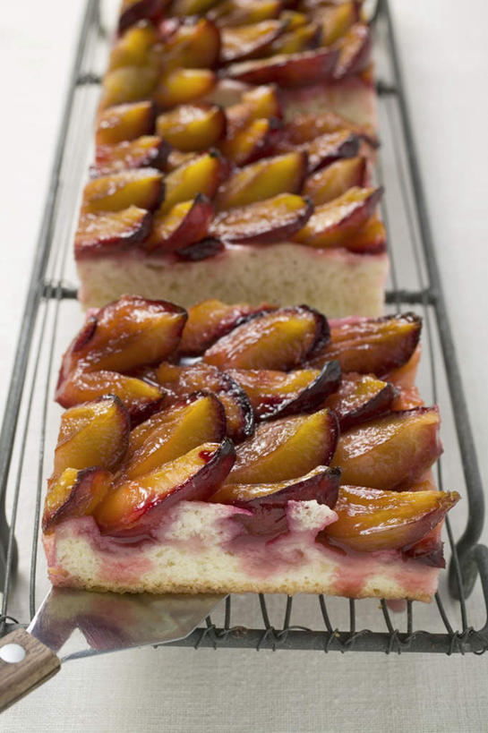 点心,无人,竖图,俯视,室内,特写,白天,白色背景,下午茶,桌面,桌子,李子,水果,一排,阴影,新鲜,整齐,并列,并排,反射,木制,影子,生食,食品,果实,架子,食物,糕点,排列,一个,木制品,摄影,有机食品,绿色食品,影棚,单个,队列,平行,红李,鸡血李,杏李,彩图,高角度拍摄,影棚拍摄,拍摄,蛋糕