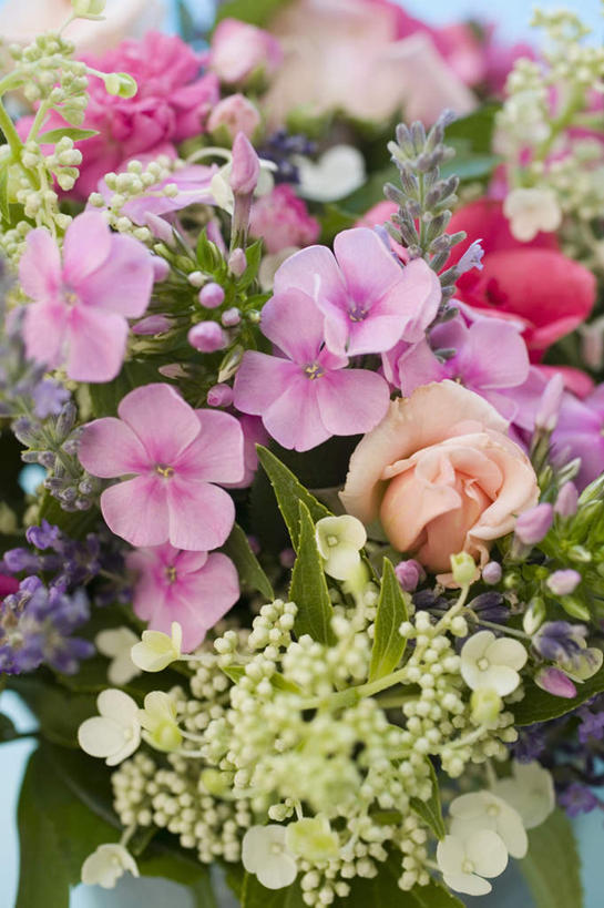 无人,竖图,俯视,室内,特写,白天,爱情,幸福,纯洁,智慧,热情,桌面,桌子,玫瑰,叶子,阴影,艺术,装饰,盛开,反射,木制,影子,绿叶,玫瑰花,浪漫,花蕾,文化,花,花瓣,花朵,鲜花,插花,木制品,花苞,花蕊,温暖,温馨,嫩叶,恩爱,摄影,影棚,华丽,修饰,插花艺术,点缀,和睦,创造,创作,感动,想象,衬托,美观,雅致,雅观,尊敬,天真,刺玫花,徘徊花,叶,叶片,彩图,高角度拍摄,影棚拍摄,拍摄,融洽