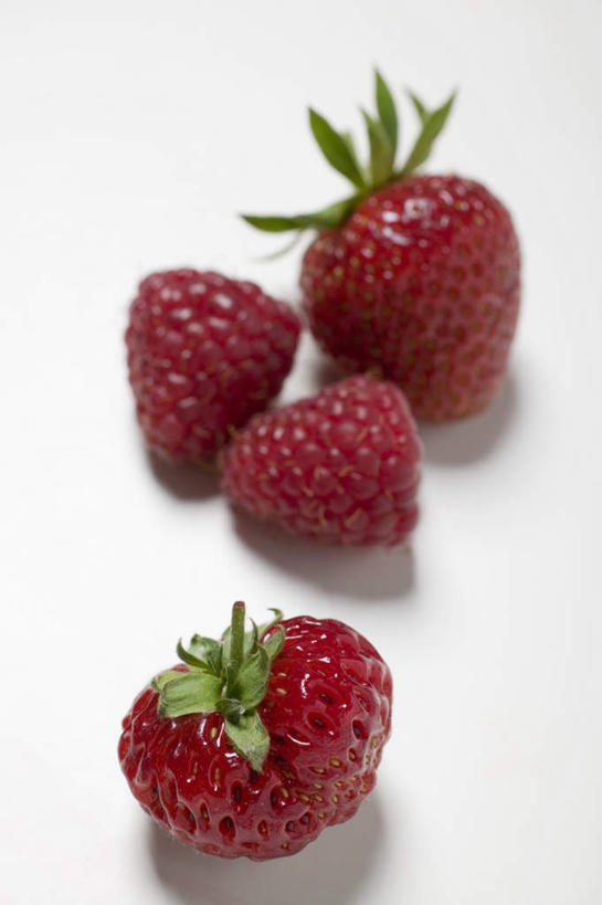 无人,竖图,俯视,室内,特写,白天,白色背景,桌面,桌子,草莓,浆果,水果,阴影,新鲜,反射,木制,影子,生食,食品,果实,食物,红色,木制品,四个,摄影,有机食品,绿色食品,影棚,洋莓,水果皇后,红莓,地莓,彩图,高角度拍摄,影棚拍摄,拍摄