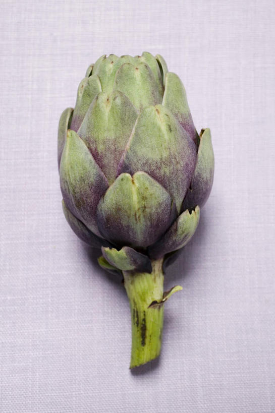 无人,竖图,俯视,室内,特写,白天,白色背景,餐桌,桌子,蔬菜,阴影,新鲜,反射,影子,朝鲜蓟,食品,食物,一个,绿色,紫色,洋蓟,摄影,有机食品,绿色食品,影棚,单个,餐台,彩图,高角度拍摄,影棚拍摄,拍摄,菜蓟,法国百合,球洋蓟,蔬菜之皇,洋百合