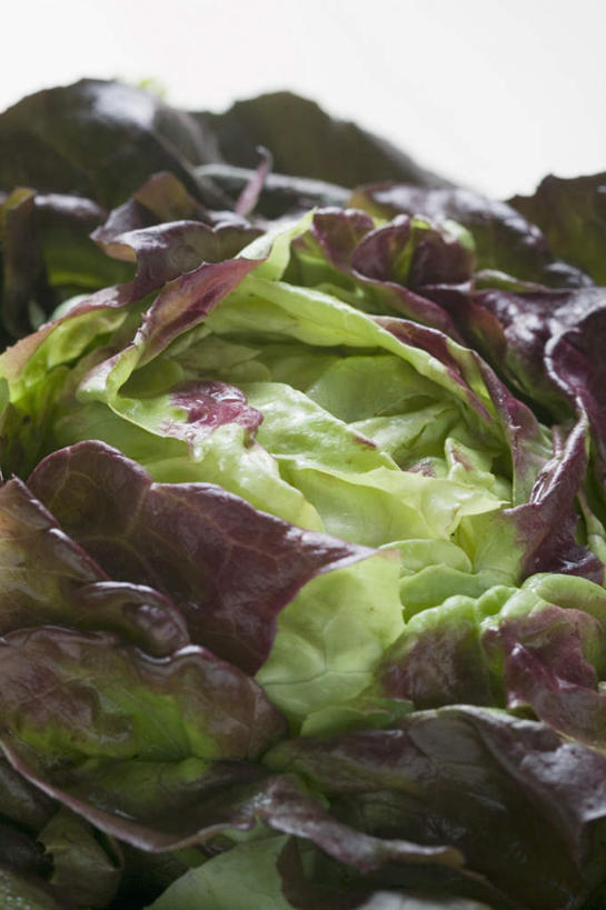 无人,竖图,俯视,室内,特写,白天,餐桌,桌子,蔬菜,阴影,新鲜,反射,影子,生菜,莴苣,食品,食物,一个,绿色,紫色,有机食品,绿色食品,单个,餐台,春菜,鹅仔菜,莴仔菜,千金菜,叶用莴苣,彩图,高角度拍摄