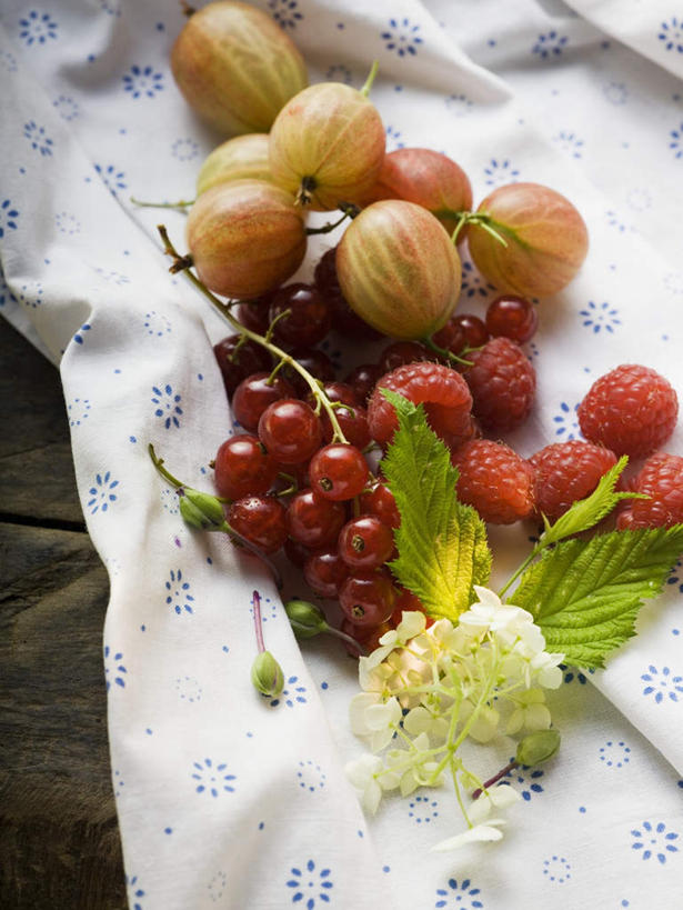 无人,竖图,俯视,室内,特写,白天,餐桌,桌子,浆果,水果,叶子,一堆,许多,阴影,堆叠,堆积,新鲜,装饰,盛开,反射,影子,灯笼果,生食,食品,果实,绿叶,很多,花蕾,花,花瓣,花朵,鲜花,食物,红色,花苞,花蕊,嫩叶,有机食品,绿色食品,餐台,堆,华丽,修饰,点缀,山莓,树莓,红醋栗,三月泡,四月泡,山抛子,刺葫芦,悬钩子,馒头菠,高脚菠,龙船泡,泡儿刺,衬托,美观,雅致,雅观,叶,叶片,醋栗,彩图,高角度拍摄