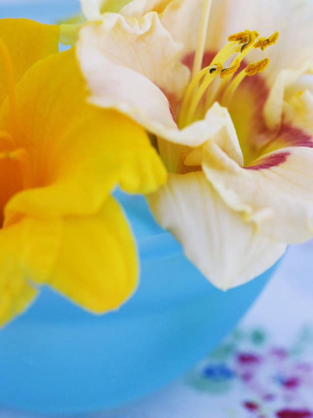 无人,竖图,俯视,室外,特写,白天,餐桌,桌子,杜鹃花,阴影,朦胧,模糊,盛开,反射,影子,陶瓷,杜鹃,陶瓷制品,花蕾,花,花瓣,花朵,鲜花,一个,容器,碗,花苞,花蕊,单个,餐台,储藏,喜悦,储存,克制,红杜鹃,满山红,清明花,清时,山踯躅,红踯躅,节制,欣喜,山石榴,映山红,彩图,高角度拍摄,贮存