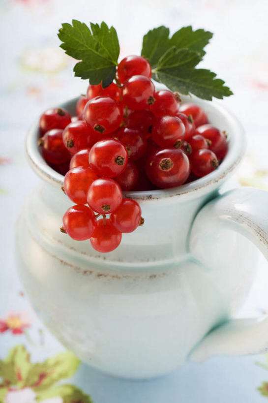 无人,竖图,俯视,室内,特写,白天,餐桌,桌子,浆果,水果,叶子,一堆,许多,阴影,堆叠,堆积,新鲜,反射,影子,陶瓷,灯笼果,生食,食品,果实,绿叶,陶瓷制品,很多,食物,一个,红色,容器,碗,嫩叶,有机食品,绿色食品,单个,餐台,储藏,堆,储存,红醋栗,叶,叶片,醋栗,彩图,高角度拍摄,贮存