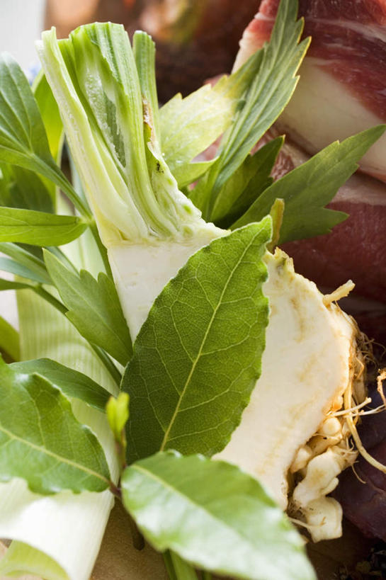 无人,竖图,俯视,室内,特写,白天,餐桌,桌子,芹菜,蔬菜,叶子,阴影,新鲜,反射,影子,肉,牛肉,食品,绿叶,肉类,食物,嫩叶,有机食品,绿色食品,荷兰芹,欧芹,香芹,餐台,草本,肉食,月桂叶,香叶,法香,巴西利,洋香菜,洋芫荽,法国香菜,旱芹菜,番荽,天竺桂,香桂叶,桂叶,月桂,叶,叶片,彩图,高角度拍摄