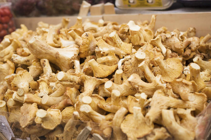 无人,商店,横图,俯视,室内,特写,白天,购物,消费,超市,樱桃,蔬菜,水果,一堆,许多,阴影,堆叠,堆积,朦胧,模糊,新鲜,反射,影子,菌菇,生食,食品,果实,菌类,货架,架子,食物,食用菌,金融,百货,有机食品,绿色食品,堆,陈列架,选购,贸易,百货公司,鸡油菌,血拼,超市货架,杏黄菌,杏菌,大樱桃,超级市场,大卖场,樱珠,莺桃,英桃,楔桃,牛桃,荆桃,车厘子,彩图,高角度拍摄,购物商场,购物中心,商业中心