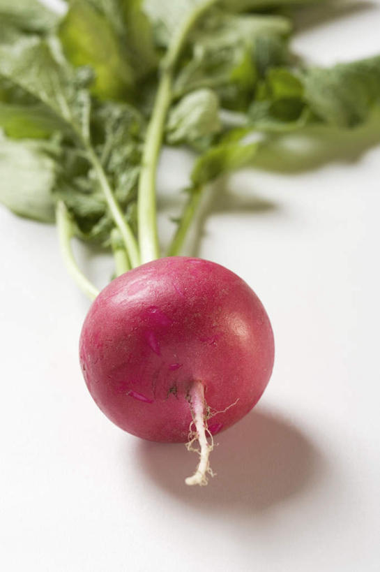 无人,竖图,俯视,室内,特写,白天,白色背景,桌面,桌子,萝卜,蔬菜,叶子,阴影,新鲜,反射,木制,影子,食品,绿叶,食物,一个,木制品,嫩叶,摄影,有机食品,绿色食品,影棚,单个,大红萝卜,东北红萝卜,叶,叶片,莱菔,红萝卜,彩图,高角度拍摄,影棚拍摄,拍摄