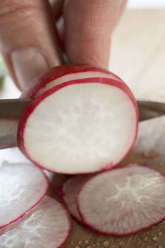 西方人,手,一个人,竖图,俯视,室内,特写,白天,桌面,桌子,萝卜,金属制品,欧洲,欧洲人,仅一个男性,仅一个人,一把,切开,阴影,朦胧,模糊,反射,金属,木制,工具,影子,案板,刀具,砧板,仅一个年轻男性,一个,木制品,刀,切,手部,摄影,影棚,单个,单手,菜刀,剖面,切面,切菜刀,大红萝卜,东北红萝卜,男人,男性,年轻男性,白种人,莱菔,红萝卜,半身,彩图,高角度拍摄,影棚拍摄,拍摄