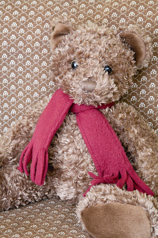 无人,竖图,室内,特写,白天,正面,游戏,熊,静物,玩具,一条,装饰,玩偶,墙,泰迪熊,玩,娱乐,墙壁,墙面,一个,红色,玩具熊,围巾,休闲,温暖,益智,毛绒玩具,单个,围脖,保暖,华丽,安慰,点缀,御寒,发泄,消遣,宣泄,衬托,美观,雅致,雅观,罗斯福熊,玩耍,嬉戏,彩图