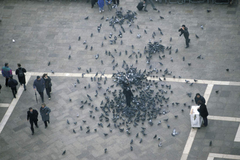 西方人,站,走,横图,俯视,室外,白天,度假,友谊,美景,城市风光,城市,鸽子,鸟,意大利,欧洲,欧洲人,许多,行人,游客,游人,弯腰,阴影,服装,光线,鸟类,影子,景观,分界线,许多人,注视,休闲装,娱乐,路人,旅客,衣服,阳光,低头,观察,看,站着,一群人,享受,休闲,休闲服,景色,放松,喂,服饰,观看,察看,象征,关注,南欧,和平,意大利共和国,弯身,信使,威内托,威内托大区,过客,男人,男性,女人,女性,中年男性,中年女性,白种人,步行,散步,站立,走路,彩图,高角度拍摄,全身