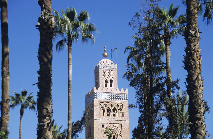 无人,横图,室外,白天,仰视,旅游,度假,名胜古迹,植物,标志建筑,地标,建筑,棕榈树,叶子,非洲,摩洛哥,阴影,节日,遗迹,光线,影子,绿叶,古迹,文化,文物,娱乐,建设,古建筑,树,树木,蓝色,绿色,蓝天,天空,阳光,自然,天,祈祷,享受,休闲,健康,嫩叶,旅游胜地,放松,许愿,宗教,信仰,生长,晴朗,成长,纪念,祈求,伊斯兰教,清真寺,古文明,棕榈叶,万里无云,阿非利加洲,摩洛哥王国,马拉喀什,库图比亚清真寺,库杜比亚清真寺,平安,叶,叶片,晴空,晴空万里,彩图,低角度拍摄