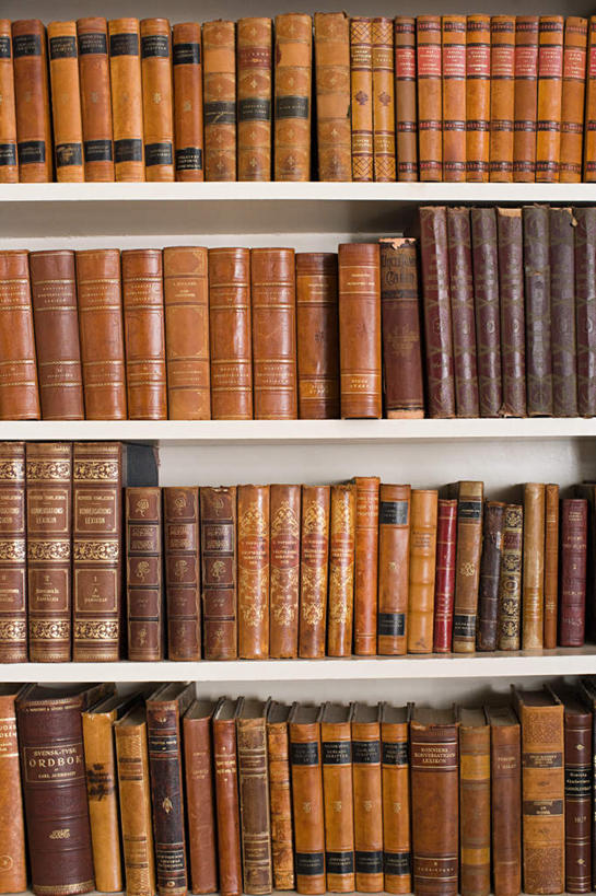 无人,竖图,室内,特写,白天,正面,看书,阅读,书架,静物,书籍,一排,许多,学习,整齐,并列,并排,英文,标志,文字,字符,字母,很多,标识,排列,书本,看,读书,浏览,英文字母,队列,平行,书,图书,彩图