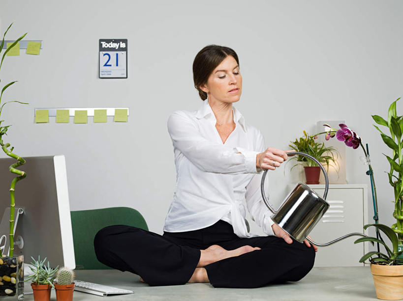 西方人,一个人,商务人士,商务女性,办公室,坐,盘腿,横图,室内,白天,正面,电脑,显示器,鼠标,键盘,植物,家具,桌子,台历,欧洲,欧洲人,仅一个女性,仅一个人,握,套装,时间,网络,标志,壶,盆栽,数字,文字,字符,办公桌,墙,盆景,拿,计时,洒水壶,拿着,注视,输入设备,通讯设备,标识,墙壁,墙面,水壶,绿色,自然,观察,看,仅一个中年女性,台式电脑,握着,阿拉伯数字,生长,成长,观看,一台,日期,察看,关注,通信设备,商务装,工薪阶层,输出设备,办公家具,浇水壶,女人,女性,中年女性,白种人,白领,上班族,日历,盘腿而坐,盘膝,盘着腿的,盘着腿坐,双腿交叉,坐着,彩图,全身