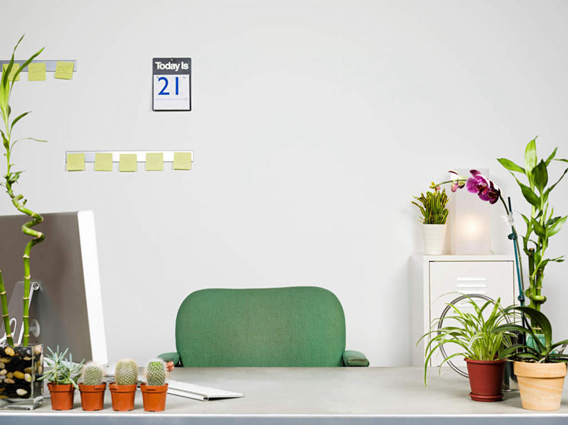 无人,办公室,横图,室内,白天,正面,电脑,显示器,鼠标,键盘,植物,家具,桌子,花瓶,椅子,一排,整齐,时间,网络,盆栽,陶瓷,办公桌,墙,盆景,陶瓷制品,计时,输入设备,通讯设备,墙壁,墙面,排列,绿色,白色,自然,会议椅,瓶子,台式电脑,生长,成长,办公椅,日期,挂历,队列,通信设备,输出设备,办公家具,商务椅,培训椅,日历,彩图