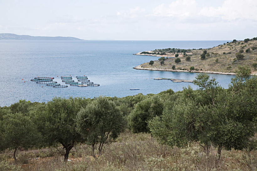 无人,横图,室外,白天,正面,旅游,度假,草地,草坪,海浪,海洋,美景,植物,欧洲,阿尔巴尼亚,阴影,光线,影子,景观,浪花,水平线,云,云朵,辽阔,海平线,云彩,娱乐,草,树,树木,蓝色,绿色,白云,蓝天,天空,阳光,自然,海水,天,享受,休闲,广阔,景色,放松,生长,晴朗,成长,一望无际,南欧,自然风光,海景,无边无际,一马平川,阿尔巴尼亚共和国,布特林特,大海,风浪,海,海水的波动,近岸浪,涌浪,晴空,彩图,水天相接,水天一线