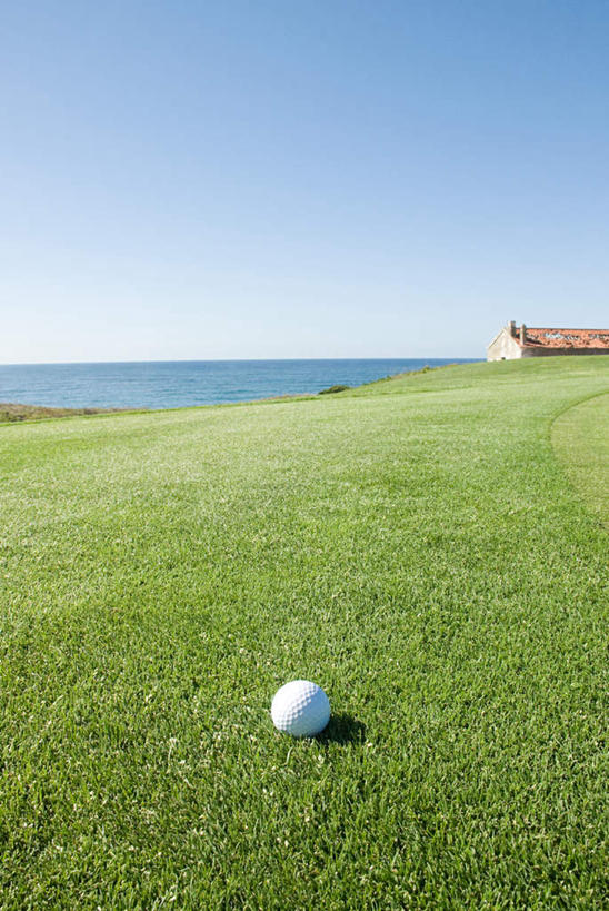 无人,体育馆,运动场,竖图,室外,白天,正面,草地,草坪,海浪,海洋,植物,阴影,光线,高尔夫,高尔夫球,影子,浪花,水平线,球场,辽阔,海平线,运动器械,体育场,高尔夫球场,草,一个,蓝色,绿色,蓝天,天空,阳光,海水,天,广阔,健身器械,田径场,晴朗,单个,一望无际,高尔夫球杆,健身器材,绿茵场,海景,高尔夫运动,高尔夫球具,万里无云,运动馆,无边无际,一马平川,大海,风浪,海,海水的波动,近岸浪,涌浪,晴空,晴空万里,彩图,水天相接,水天一线,运动器材
