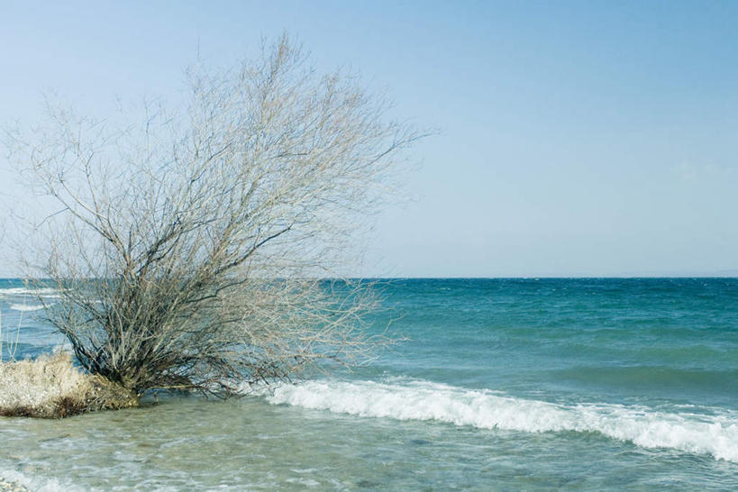 无人,横图,室外,白天,正面,旅游,度假,海浪,海洋,美景,沙滩,植物,枯萎,沙子,海岸,景观,浪花,水平线,云,云朵,辽阔,枯草,海平线,沙地,云彩,娱乐,草,黄色,蓝色,白云,蓝天,天空,自然,海水,天,享受,休闲,广阔,景色,放松,晴朗,一望无际,自然风光,海景,无边无际,一马平川,大海,风浪,海,海水的波动,海滩,近岸浪,涌浪,晴空,彩图,水天相接,水天一线