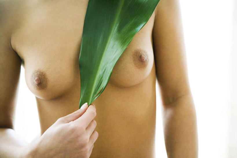 西方人,胸,一个人,站,举,横图,室内,特写,白天,白色背景,正面,叶子,欧洲,欧洲人,仅一个年轻女性,仅一个女性,仅一个人,一片,艺术,绿叶,拿,拿着,文化,裸露,站着,嫩叶,抬手,遮,摄影,影棚,赤裸,遮挡,裸,人体艺术,遮盖,遮蔽,年轻女性,女人,女性,白种人,胸部,叶,叶片,举起,举着,向上举,站立,半身,彩图,影棚拍摄,拍摄