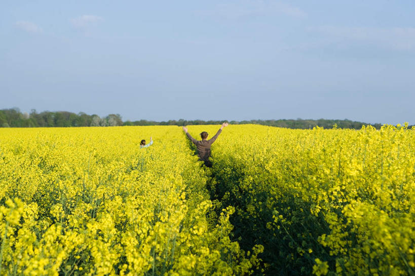 西方人,一个人,站,伸展双臂,横图,室外,白天,正面,度假,花海,花圃,植物,欧洲,欧洲人,仅一个女性,仅一个人,许多,盛开,云,云朵,花蕾,云彩,娱乐,花,花瓣,花朵,花卉,鲜花,黄色,蓝色,绿色,白云,蓝天,天空,自然,花丛,花田,天,花苞,花蕊,油菜花,站着,享受,休闲,放松,仅一个老年女性,生长,成长,老年女性,女人,女性,白种人,敞开双臂,伸开双臂,展开双肩,站立,张开手臂,张开双臂,半身,彩图,芸苔,芸薹