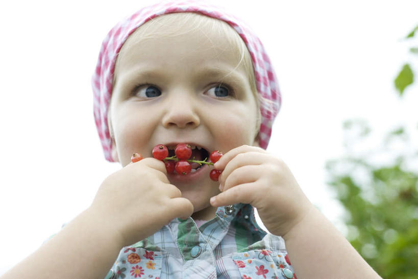 西方人,儿童,一个人,吃,横图,室外,白天,仰视,纯洁,植物,水果,欧洲,欧洲人,仅一个女性,仅一个人,一串,握,朦胧,模糊,新鲜,头巾,图案,生食,食品,果实,拿,拿着,树,树木,食物,小孩,红色,绿色,自然,仅一个小孩,可爱,童年,童趣,握着,有机食品,绿色食品,生长,成长,童真,烂漫,无邪,天真,女人,女性,白种人,孩子,嚼,食,半身,彩图,低角度拍摄,女生