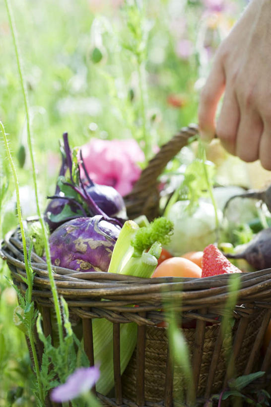西方人,一个人,交叉,竖图,室外,特写,白天,侧面,草地,草坪,植物,竹子,草莓,萝卜,胡萝卜,芹菜,蔬菜,椰菜,卷心菜,水果,欧洲,欧洲人,仅一个年轻女性,仅一个女性,仅一个人,握,竹制,朦胧,模糊,新鲜,盛开,编织,篮子,生食,食品,果实,拿,花蕾,拿着,草,花,花瓣,花朵,鲜花,食物,绿色,竹篮,花苞,花蕊,握着,有机食品,绿色食品,竹条,交织,竹制品,根芹菜,根洋芹,球根塘蒿,穿插,年轻女性,女人,女性,白种人,洋莓,水果皇后,红莓,地莓,药芹,水芹,结球甘蓝,红萝卜,旱芹,甘荀,甘兰,包心菜,半身,彩图