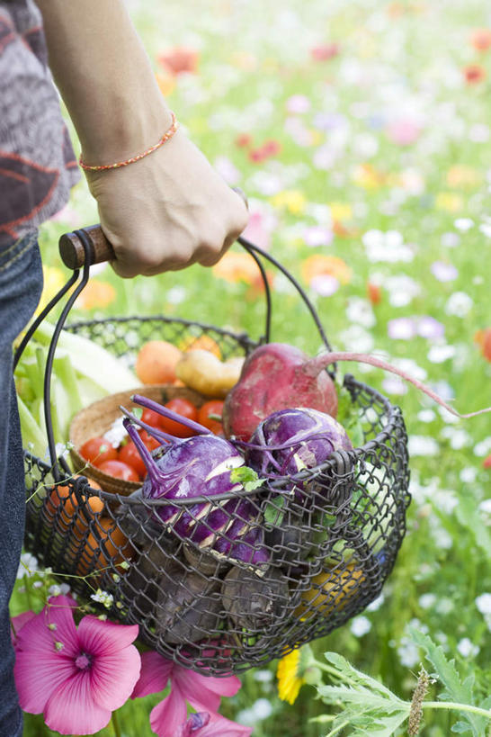 西方人,一个人,交叉,竖图,室外,特写,白天,正面,草地,草坪,植物,竹子,草莓,萝卜,胡萝卜,芹菜,蔬菜,西红柿,椰菜,卷心菜,水果,欧洲,欧洲人,仅一个女性,仅一个人,握,竹制,朦胧,模糊,新鲜,盛开,编织,篮子,生食,食品,果实,拿,花蕾,拿着,草,花,花瓣,花朵,鲜花,食物,绿色,竹篮,花苞,花蕊,握着,仅一个老年女性,有机食品,绿色食品,竹条,交织,竹制品,根芹菜,根洋芹,球根塘蒿,穿插,老年女性,女人,女性,白种人,洋莓,水果皇后,红莓,地莓,樱桃番茄,药芹,水芹,圣女果,结球甘蓝,红萝卜,旱芹,甘荀,甘兰,番茄,包心菜,半身,彩图