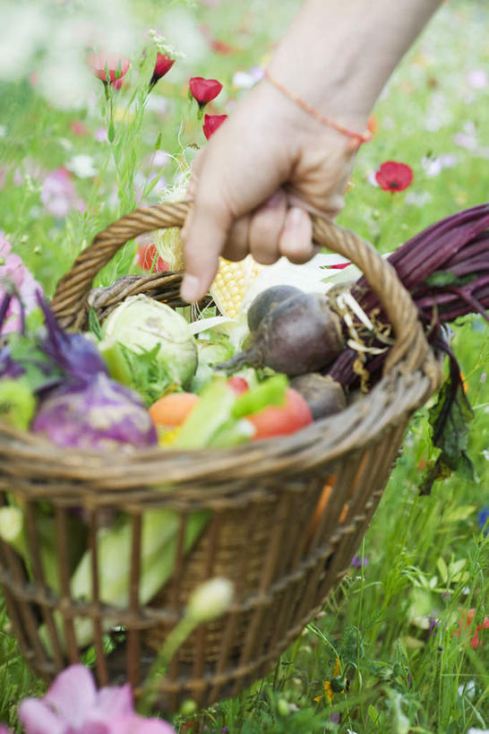 西方人,一个人,交叉,竖图,俯视,室外,特写,白天,草地,草坪,植物,竹子,草莓,萝卜,胡萝卜,芹菜,蔬菜,西红柿,椰菜,卷心菜,水果,欧洲,欧洲人,仅一个女性,仅一个人,握,竹制,朦胧,模糊,新鲜,盛开,编织,篮子,生食,食品,果实,拿,花蕾,拿着,草,花,花瓣,花朵,鲜花,食物,绿色,竹篮,花苞,花蕊,握着,仅一个老年女性,有机食品,绿色食品,竹条,交织,竹制品,根芹菜,根洋芹,球根塘蒿,穿插,老年女性,女人,女性,白种人,洋莓,水果皇后,红莓,地莓,樱桃番茄,药芹,水芹,圣女果,结球甘蓝,红萝卜,旱芹,甘荀,甘兰,番茄,包心菜,半身,彩图,高角度拍摄