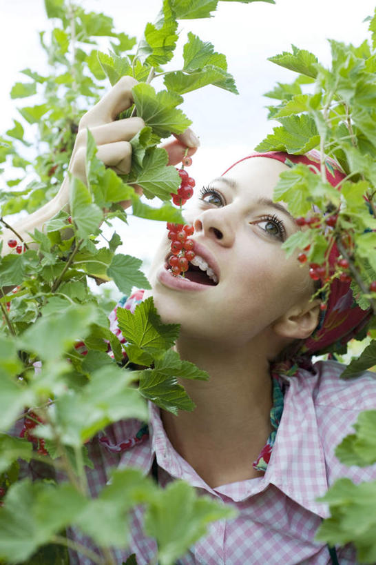 西方人,脸,头,脸颊,一个人,吃,捏,竖图,室外,白天,正面,田园,浆果,叶子,欧洲,欧洲人,仅一个年轻女性,仅一个女性,仅一个人,握,桑葚,桑椹,绿叶,拿,捏着,拿着,覆盆子,张嘴,嫩叶,握着,张大嘴巴,年轻女性,女人,女性,白种人,头部,脸部,脸蛋,面部,叶,叶片,张开嘴,嚼,食,抬头,仰头,半身,彩图