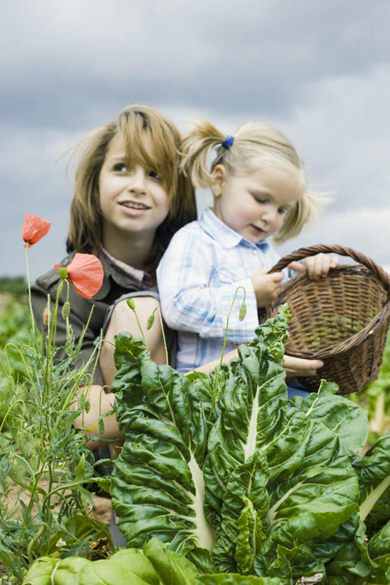 西方人,儿童,两个人,站,抱,交叉,竖图,室外,特写,白天,仰视,纯洁,竹子,蔬菜,椰菜,卷心菜,欧洲,欧洲人,竹制,朦胧,模糊,新鲜,盛开,编织,篮子,云,云朵,食品,花蕾,云彩,注视,花,花瓣,花朵,鲜花,食物,小孩,红色,蓝色,白云,蓝天,天空,竹篮,天,花苞,花蕊,观察,看,站着,可爱,童年,童趣,有机食品,绿色食品,抱着,观看,竹条,交织,察看,竹制品,搂着,关注,童真,烂漫,无邪,穿插,天真,女孩,女人,女性,白种人,结球甘蓝,甘兰,包心菜,怀抱,搂,搂抱,相抱,拥抱,站立,半身,彩图,低角度拍摄,女生