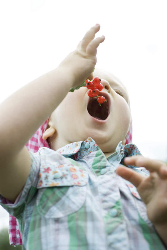 西方人,儿童,一个人,吃,竖图,室外,特写,白天,仰视,纯洁,浆果,欧洲,欧洲人,仅一个女性,仅一个人,握,服装,桑葚,桑椹,拿,拿着,休闲装,小孩,衣服,天空,天,覆盆子,张嘴,仅一个小孩,休闲,手指,休闲服,可爱,童年,童趣,握着,服饰,翘,张大嘴巴,童真,烂漫,无邪,天真,女孩,女人,女性,白种人,孩子,张开嘴,嚼,食,半身,彩图,低角度拍摄,女生