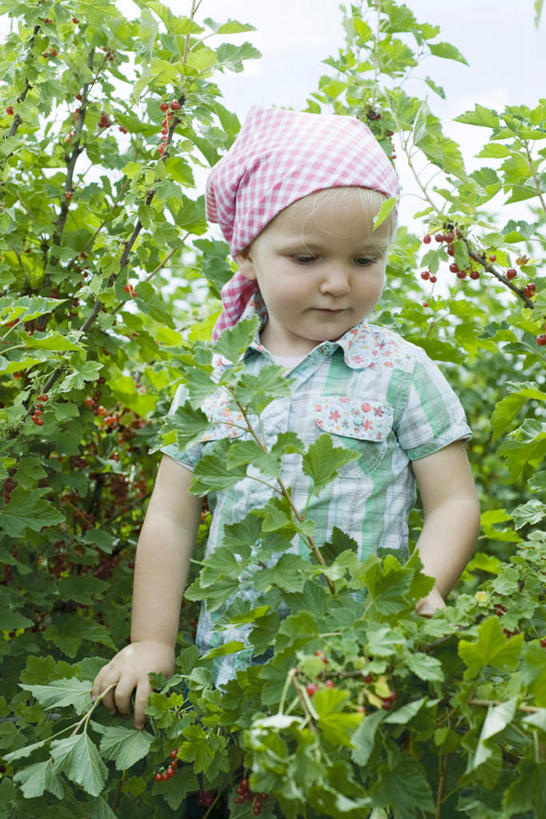 西方人,儿童,一个人,站,摸,竖图,室外,特写,白天,正面,纯洁,森林,树林,植物,水果,叶子,欧洲,欧洲人,仅一个女性,仅一个人,抚摸,新鲜,包裹,头巾,生食,食品,果实,绿叶,注视,树,树木,食物,小孩,蓝色,绿色,蓝天,天空,自然,天,观察,看,站着,仅一个小孩,嫩叶,可爱,童年,童趣,有机食品,绿色食品,生长,成长,观看,察看,关注,童真,烂漫,无邪,天真,女孩,女人,女性,白种人,孩子,叶,叶片,触摸,接触,站立,半身,彩图,女生