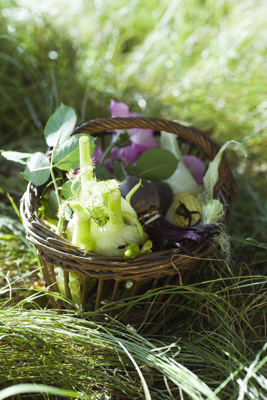 无人,交叉,竖图,俯视,室外,白天,玉米,草地,草坪,植物,竹子,蔬菜,一堆,许多,阴影,堆叠,堆积,竹制,新鲜,盛开,编织,光线,篮子,影子,莴苣,莴笋,食品,花蕾,草,花,花瓣,花朵,鲜花,食物,绿色,阳光,竹篮,花苞,花蕊,有机食品,绿色食品,竹条,堆,交织,竹制品,香笋,穿插,彩图,高角度拍摄