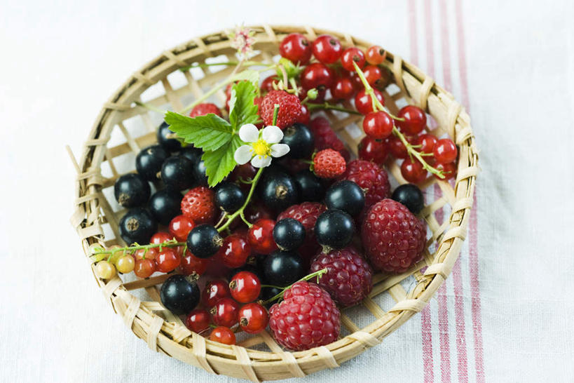 无人,交叉,横图,俯视,室内,特写,白天,白色背景,桌面,桌子,竹子,草莓,浆果,黑加仑,黑莓,水果,叶子,许多,条纹,竹制,新鲜,散落,盛开,编织,篮子,桑葚,桑椹,生食,食品,茎,果实,绿叶,花蕾,桌布,花,花瓣,花朵,鲜花,食物,竹篮,花苞,花蕊,覆盆子,嫩叶,放,摄影,有机食品,绿色食品,影棚,竹条,交织,竹制品,穿插,叶,叶片,洋莓,水果皇后,红莓,黑穗醋栗,黑豆果,黑醋栗,地莓,醋栗,彩图,高角度拍摄,影棚拍摄,拍摄