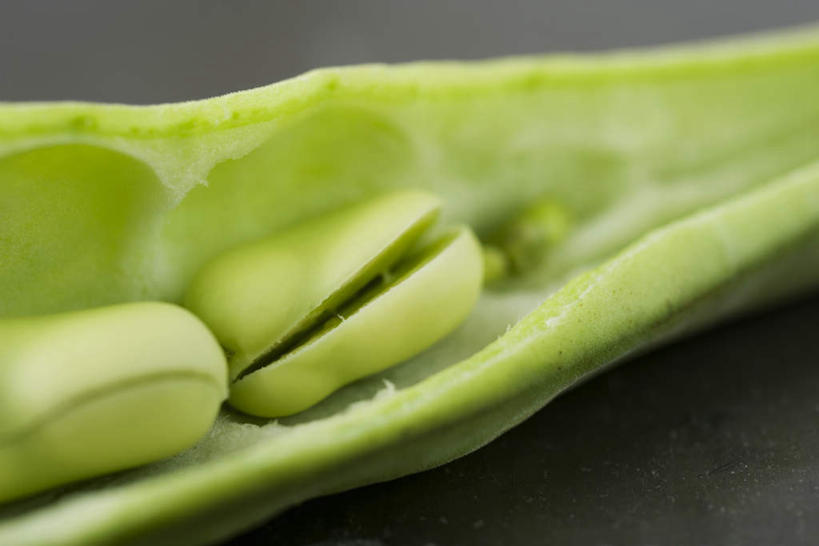 无人,横图,俯视,室内,特写,白天,植物,桌面,桌子,蔬菜,一排,灰色背景,朦胧,模糊,新鲜,整齐,豆类,豆子,食品,蚕豆,胡豆,佛豆,川豆,倭豆,罗汉豆,食物,排列,两个,台布,打开,翻开,放,摄影,有机食品,绿色食品,影棚,队列,豆科,彩图,高角度拍摄,影棚拍摄,拍摄