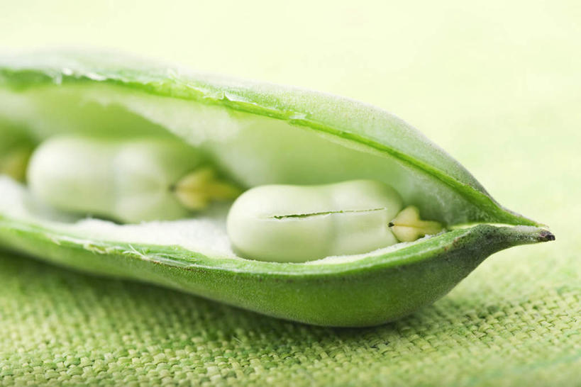 无人,横图,俯视,室内,特写,白天,植物,桌面,桌子,蔬菜,一排,绿色背景,朦胧,模糊,新鲜,整齐,豆类,豆子,食品,蚕豆,胡豆,佛豆,川豆,倭豆,罗汉豆,食物,排列,两个,台布,打开,翻开,放,摄影,有机食品,绿色食品,影棚,队列,豆科,彩图,高角度拍摄,影棚拍摄,拍摄