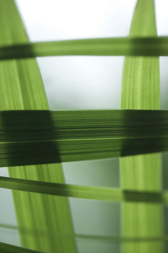 无人,竖图,室外,特写,白天,正面,美景,植物,叶子,许多,朦胧,模糊,纹理,景观,茎,绿叶,自然,嫩叶,景色,自然风光,叶,叶片,彩图