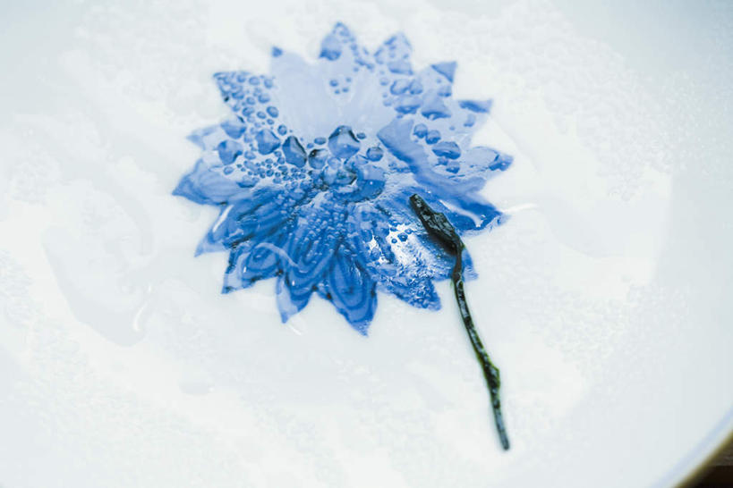 无人,横图,俯视,室内,特写,白天,水,餐桌,桌子,静物,餐具,艺术,盛开,碟子,盘,液体,水滴,艺术品,花蕾,花,花瓣,花朵,一个,盘子,碟,花苞,花蕊,单个,餐台,彩图,高角度拍摄