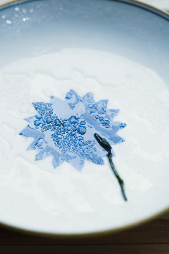 无人,竖图,俯视,室内,特写,白天,水,餐桌,桌子,静物,餐具,艺术,盛开,碟子,盘,液体,水滴,艺术品,花蕾,花,花瓣,花朵,一个,盘子,碟,花苞,花蕊,单个,餐台,彩图,高角度拍摄